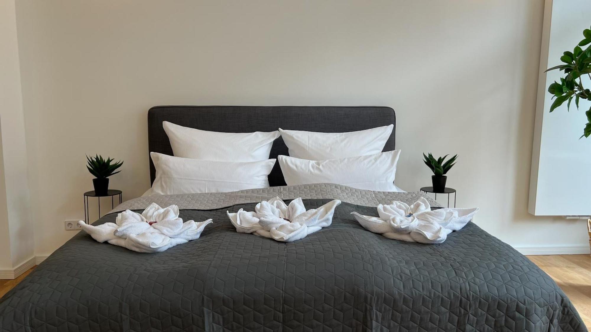 Neu! City-Loft-Apartment Im Goethe Palais I 5P I Lift I Parkplatz I Zentrum I Helios Aue  Luaran gambar